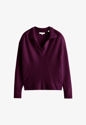 Maglione a V in profondo viola, tessuto lavorato a maglia, colletto e polsini a coste, vestibilità ampia e design semplice senza ulteriori embellishments.