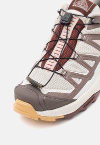 Salomon X ULTRA 360 EDGE GTX - Pantofi drumeție - silver cloud/iron/rum raisin