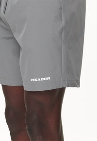 Pegador LOGO SWIM - Plaukimo šortai - cool grey