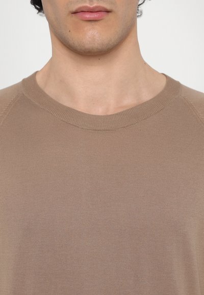 Brown cotton sweater, crew neckline, ribbed accents, smooth texture, fitted design, featuring raglan sleeves and minimal seams.