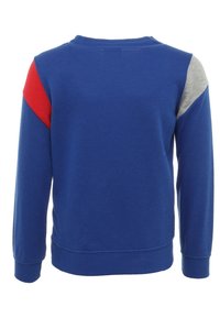 Modrá mikina s dlouhými rukávy. Obsahuje červené a šedé akcentní panely na ramenech. Vyrobena z měkké, strukturované látky. Klasický střih.