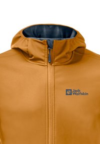 Jack Wolfskin BORNBERG  - Outdoorjacke - safflower