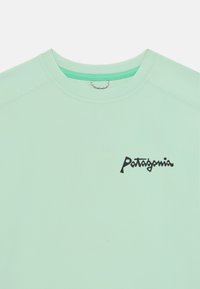 Šviesiai mėtos žalios spalvos marškinėliai trumpomis rankovėmis, su apvaliu kaklu ir juodu "Patagonia" logotipu priekyje, pagaminti iš minkštos, kvėpuojančios medžiagos.