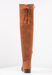 Botas marrones de ante por encima de la rodilla con punta redondeada, caña alta con detalles de cordones y borlas, y tacón apilado.