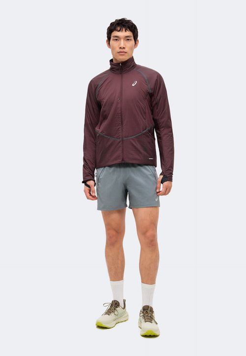 ASICS ROAD WINTER JACKET - Running jacket - dark currant — photo 2