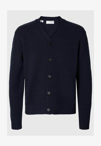 Ausgewählt, sky captain