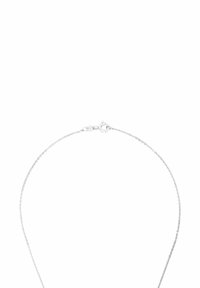 Collana in argento con un design fine e delicato. Presenta una chiusura a gancio sicura ed evidenzia una texture liscia e lucida.