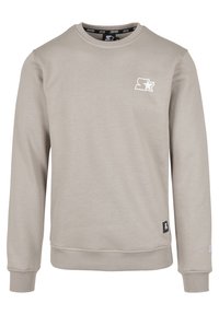 Light gray sweatshirt made of soft fabric, featuring a crew neckline, ribbed cuffs and hem, and a small white logo on the chest.