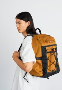Dickies ASHVILLE ROLL TOP BACKPACK UNISEX - Turistinė kuprinė - brown duck