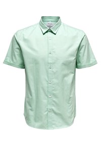 Camicetta verde chiaro a maniche corte con colletto, esposta su uno sfondo bianco.