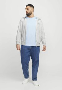 Lys grå zip-up hoodie med en blå detalje, båret over en lys blå t-shirt, sat sammen med løse blå jeans og hvide sneakers.