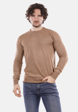 Maglione marrone con scollo tondo, maniche lunghe e polsini a costine; realizzato in un materiale morbido con una texture liscia. Indossato sopra dei jeans blu.
