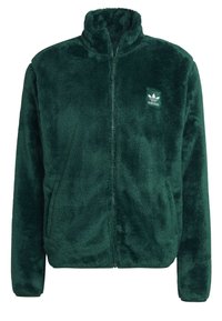 Chaqueta de forro polar verde con cuello alto, cremallera completa, textura suave y parche de logo bordado en el pecho izquierdo. Cuenta con puños y dobladillo ajustados.