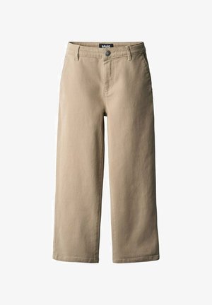 Molo AUDEN - Džíny Relaxed Fit - drift wood