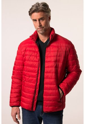 BAUCHFIT STEHKRAGEN - Winterjacke - red