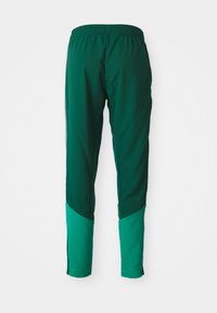 Groene sportbroek met een elastische tailleband, taps toelopend ontwerp en contrasterende turquoise panelen aan de onderkant. Soepele textuur, lichtgewicht materiaal.