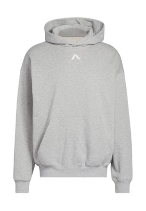 ANTED GFX HOODY - Sportinis megztinis - medium grey heather