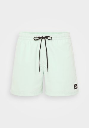 Helle mintgrüne Badehose mit elastischem Bund, schwarzem Kordelzug und einem kleinen schwarzen Logopatch auf der unteren rechten Seite.