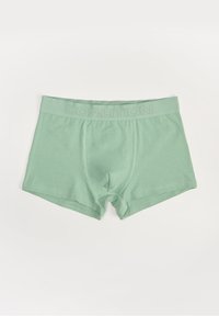 Jasnozielone majtki bokserki wykonane z miękkiego materiału, z bezszwowym designem i teksturowanym pasem z napisem "COALITION" wytłoczonym na gumce.