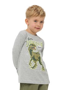 Maglietta a maniche lunghe grigia con grafica di un dinosauro in verde e giallo, accompagnata da etichette testuali. Tessuto morbido e design a girocollo.