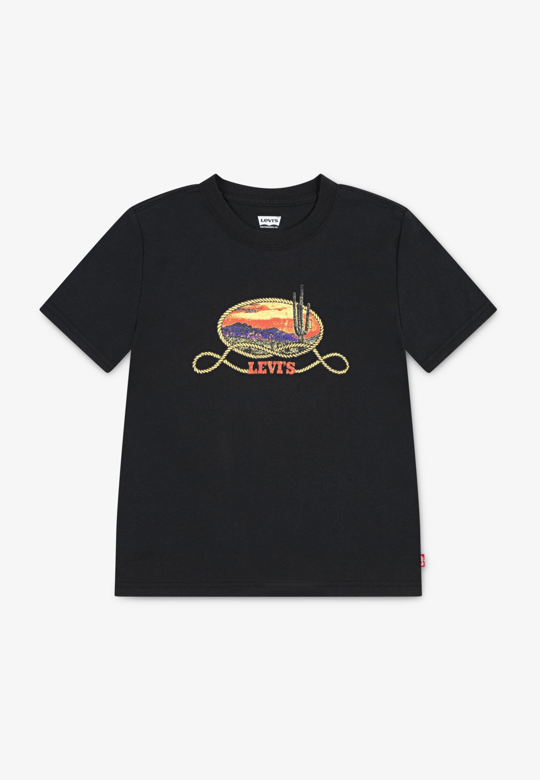Levi's® CACTUS IN THE SUNSET TEE Print T-shirt jet black/black