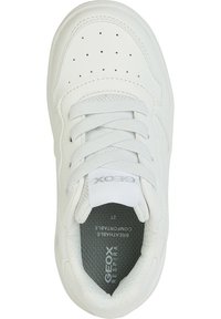 Weiße Sneaker mit einem Obermaterial aus glattem Leder, strukturiertem Mesh-Futter, durchlöchtem Zehenbereich und flachen Schnürsenkeln. Mit "GEOX RESPIRA" Branding im Inneren.