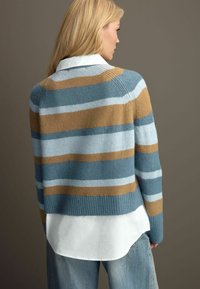 Pull rayé en bleu, marron et bleu clair. Matière en laine avec des poignets côtelés. Porté sur une chemise blanche, vue de dos affichée.