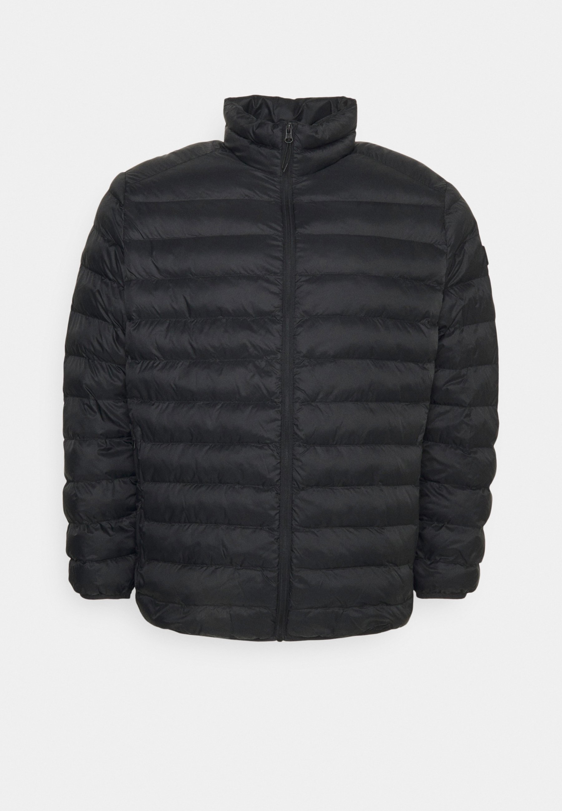 Esprit PUFFER JACKET - Winter jacket 