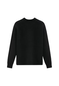 Pull noir avec un col rond classique, des manches longues, des poignets et un ourlet côtelés, fabriqué en matériau tricoté doux. Vue de dos, sans motifs ni accents.