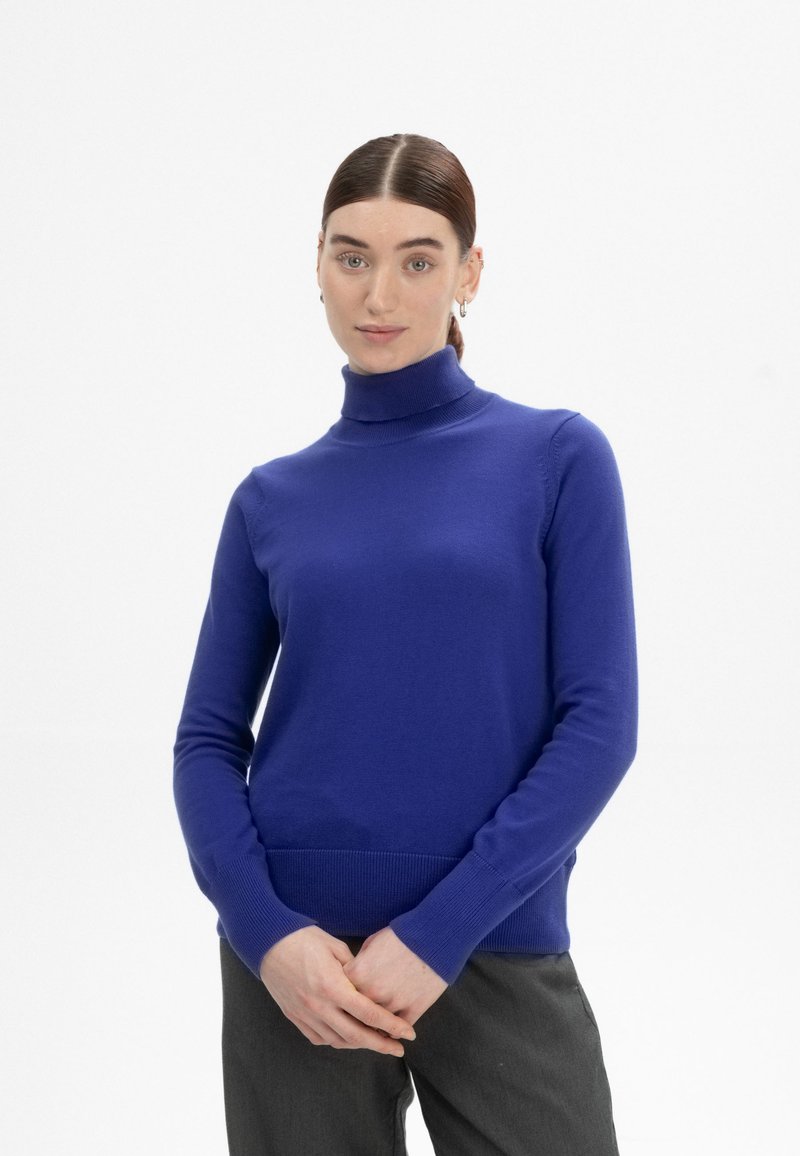 Blauer Rollkragenpullover aus weichem Material, mit langen Ärmeln und gerippten Bündchen, in einer figurbetonten Silhouette gestaltet.