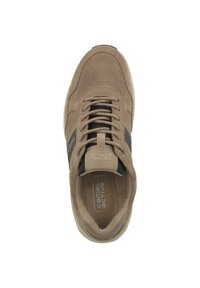 camel active - Sneakersy niskie