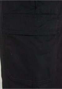 Dickies WORKWEAR EVERYDAY  - Tuinbroek - black