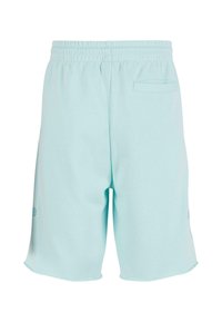 Lyseblå idrettsshorts laget av myk stoff, med elastisk midje, en baklomme og logo-detaljer på sidene.