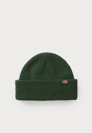 Green knitted beanie with a ribbed texture and a folded brim. Includes a small Dickies logo patch on the side.