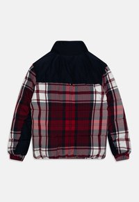 Tommy Hilfiger Giacca invernale - red
