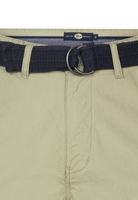 Petrol Industries TROPICANA - Shorts - sage green