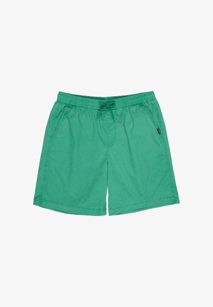 Grüne legere Herrenshorts mit elastischem Bund und Kordelzug, ausgestattet mit Seitentaschen und einem kleinen Logotag an der rechten Tasche.