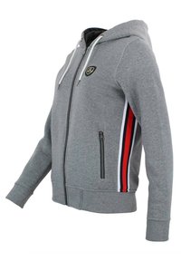 Peak Mountain Felpa con zip - light grey