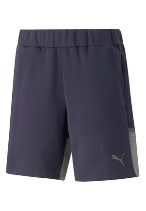 FUSSBALL - TEAMSPORT - TEAMCUP CASUALS - Träningsshorts - blau