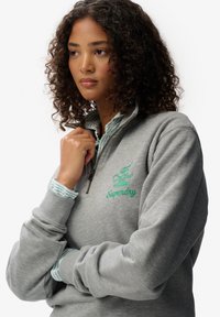 Sudadera gris con cremallera y puños acanalados, que presenta un gráfico de una corona verde y el texto "Superdry". El cuello interior tiene un patrón de rayas azul claro.