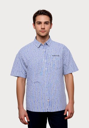 Fiatal férfi, rövid ujjú kék-fehér függőleges csíkos, galléros, mellzsebbel rendelkező ingben.