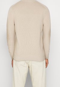 Beige stickad tröja med ett texturerat mönster, ribbade cuffs och nederkant. Baksidan visar en rund halsringning och en slim fit-design.