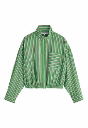 Next, REGULAR FIT - FUNNEL NECK BOMBER SHIRT - Button-down blouse - green red white stripe