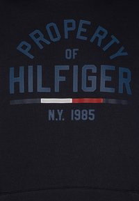 Tommy Hilfiger Jersey con capucha - dark blue