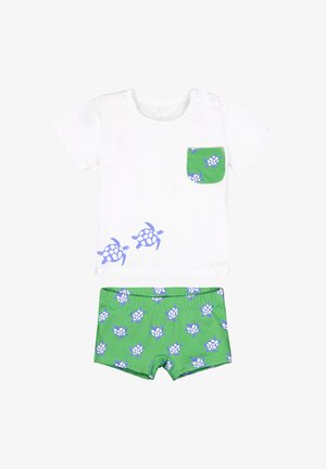 Camiseta blanca de manga corta para niño pequeño con estampados de tortugas azules y pantalones cortos verdes a juego con patrón de tortugas azules.
