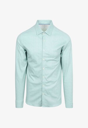 Hellgrünes Button-Up-Hemd aus strukturiertem Stoff, mit klassischem Kragen und langen Ärmeln mit knöpfbaren Manschetten.