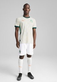 Maillot de football blanc avec des accents verts et un motif subtil, associé à un short blanc et des chaussettes blanches, comportant le logo Puma et l'emblème de l'équipe.