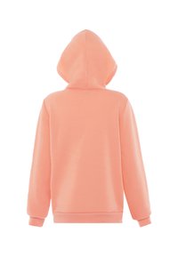 Peachfarvet hætte sweatshirt lavet af blødt stof med lange ærmer og en afslappet pasform. Ingen synlige logoer eller mønstre.
