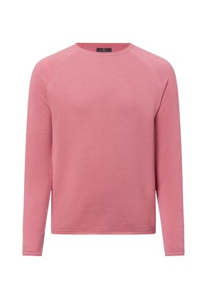 Langärmliger Pullover aus strukturiertem, hellrosa Material, mit Rundhalsausschnitt und Raglanärmeln. Keine sichtbaren Beschläge oder Muster.