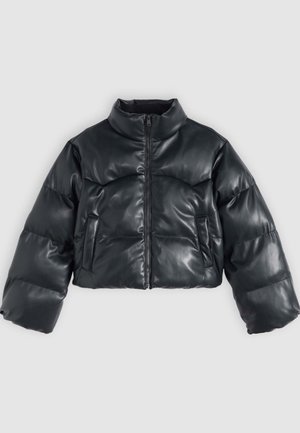 Levi's®, PALMER CROPPED - Зимно яке - anthracite night